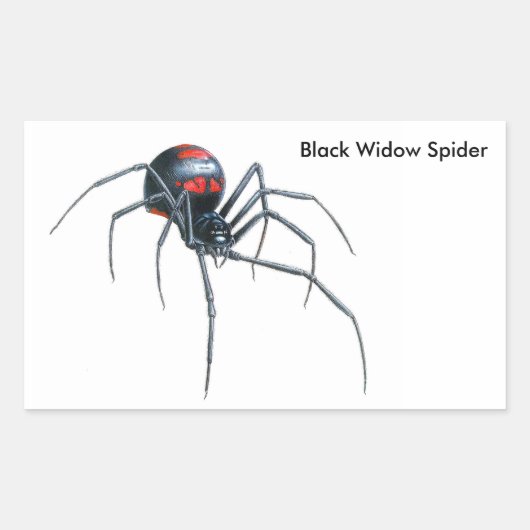 Spider afbeelding voor Rectangle-Stickers-Glossy Rechthoekige Sticker (Voorkant)