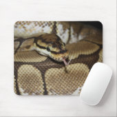 Spider Ball Python Mousepad Muismat (Met muis)