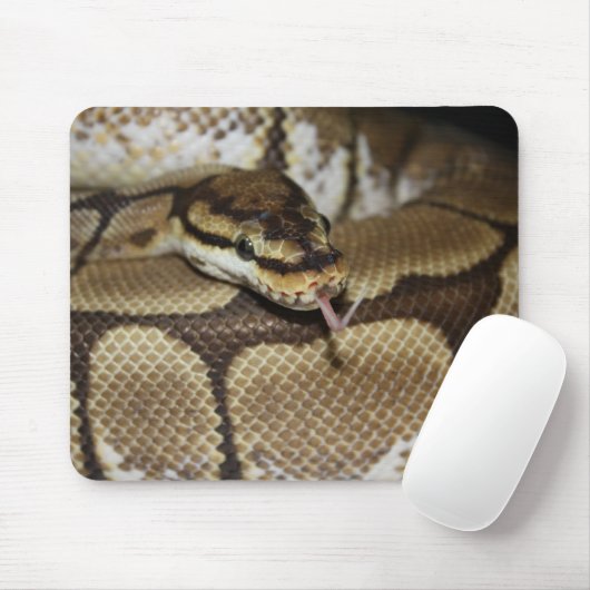 Spider Ball Python Mousepad Muismat (Met muis)