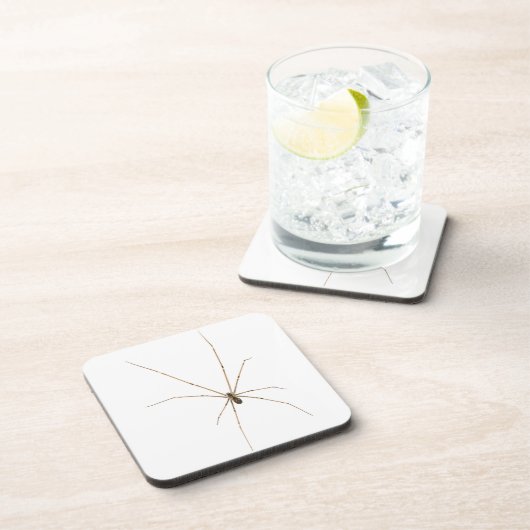 Spider Bier Onderzetter (Rechterzijde)