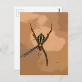 SPIDER BLACK EN GEEL QUEENSLAND AUSTRALIË BRIEFKAART (Voorkant / Achterkant)