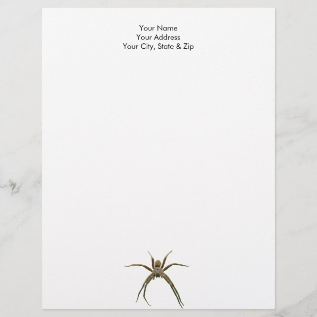 Spider Briefhoofd (Voorkant)