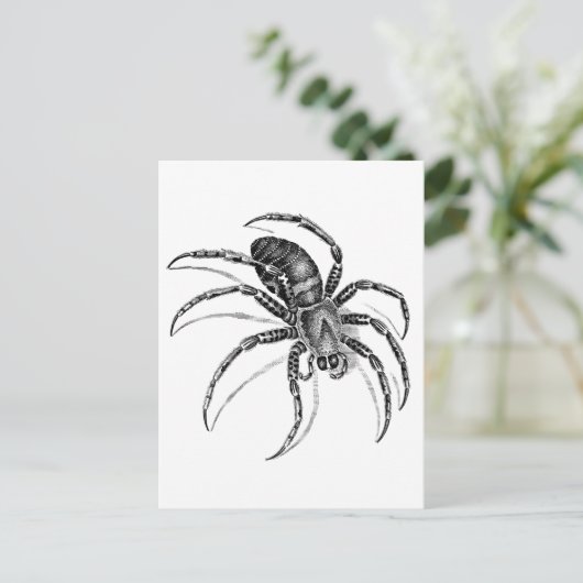 Spider Briefkaart (Staand voorkant)
