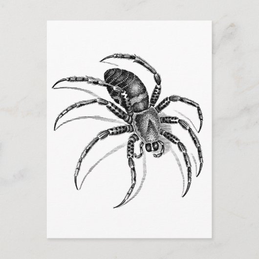 Spider Briefkaart (Voorkant)