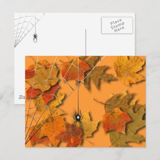 Spider Briefkaart (Voorkant / Achterkant)