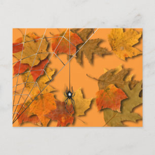 Spider Briefkaart