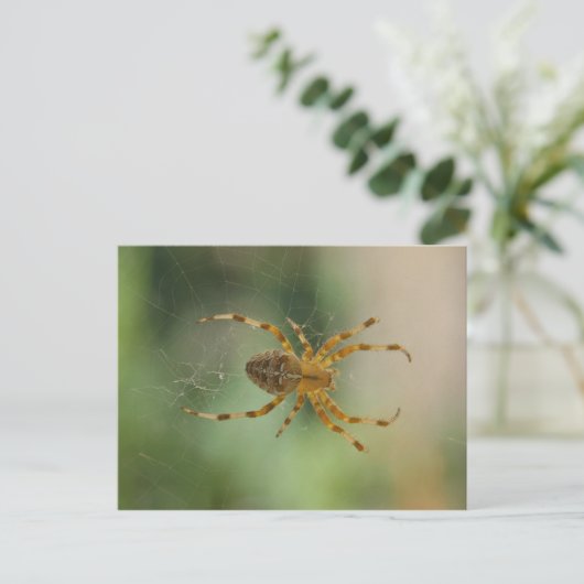 Spider - briefkaart (Staand voorkant)