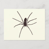Spider Briefkaart (Voorkant)