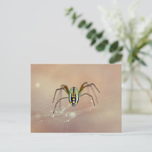 Spider Briefkaart (Staand voorkant)