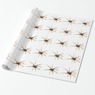 Spider Cadeaupapier
