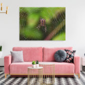 Spider Canvas Afdruk (Insitu (Woonkamer))
