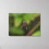 Spider Canvas Afdruk (Voorkant)