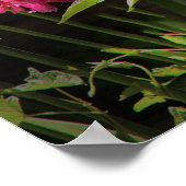 Spider - Charlottes Web Poster (Hoek)