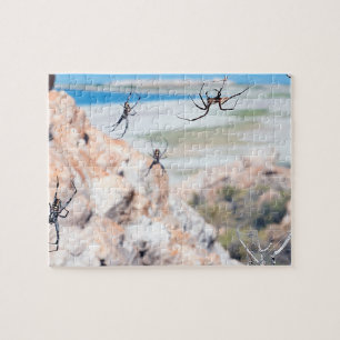 Spider City - Rondhangen Legpuzzel