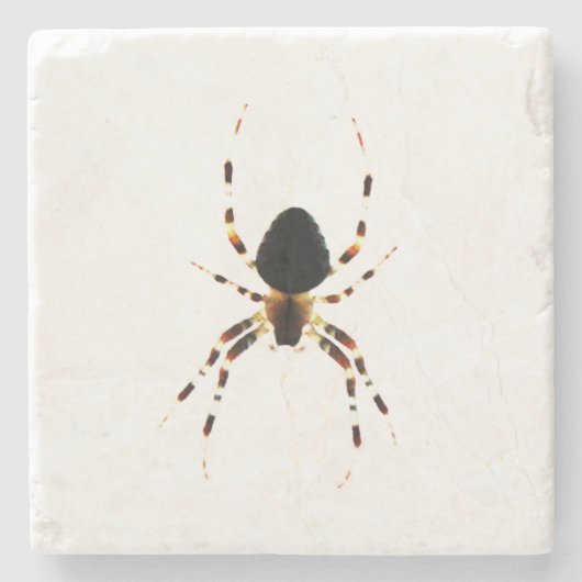 Spider coastera stenen onderzetter (Voorkant)