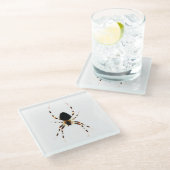 Spider coastercna glazen onderzetter (Schuin)