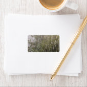 Spider Cobweb Etiket (Insitu)