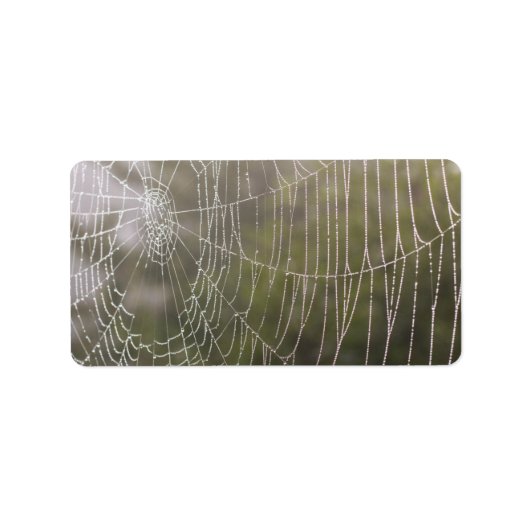Spider Cobweb Etiket (Voorkant)