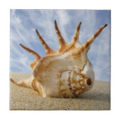 Spider Conch Seashell op een zandstrand Tegeltje (Voorkant)
