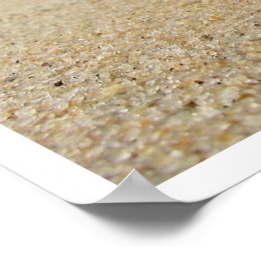 Spider Conch Seashell op strand zand Poster (Hoek)