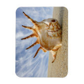 Spider Conch Seashell op zandstrand Magneet (Verticaal)