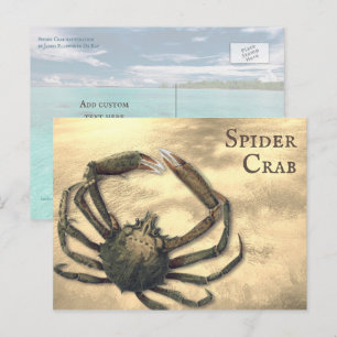 Spider Crab, geïllustreerd op Aangepast Alle Occas Briefkaart