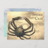 Spider Crab, geïllustreerd op Aangepast Alle Occas Briefkaart (Voorkant / Achterkant)