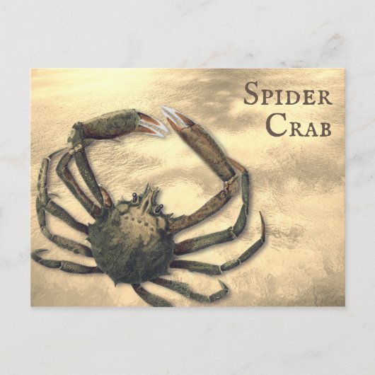 Spider Crab, geïllustreerd op Aangepast Alle Occas Briefkaart (Voorkant)