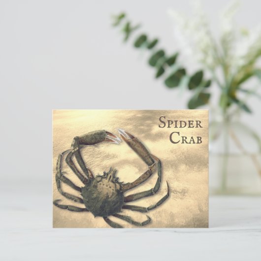 Spider Crab, geïllustreerd op Aangepast Alle Occas Briefkaart (Staand voorkant)