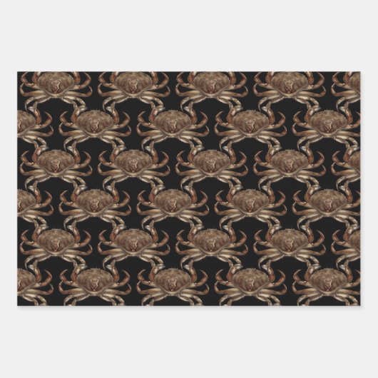 Spider Crabs Inpakpapier Vel (Voorkant 2)