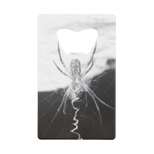 Spider Credit Kaart Bottle Open Creditkaart Flessenopener