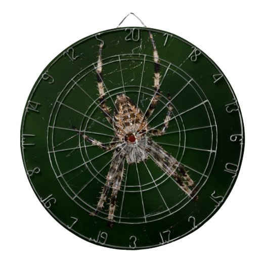 Spider Dartbord (Voorkant)