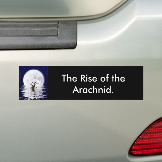 Spider Design Giften Bumpersticker (Op auto)