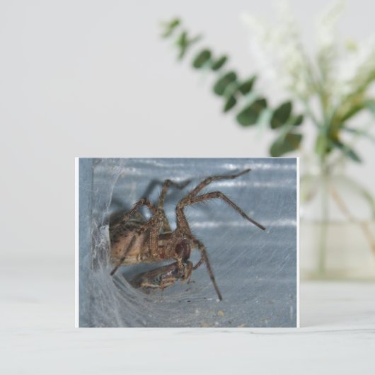 Spider Eating Briefkaart (Staand voorkant)