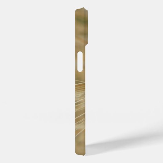 Spider en Egg Sac Case-Mate iPhone Case (Achterkant / Rechts)