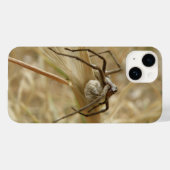 Spider en Egg Sac Case-Mate iPhone Case (Achterkant (horizontaal))