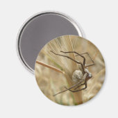 Spider en Egg Sac Magnet (Voorkant / Achterkant)