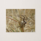 Spider en Egg Sac Puzzle Legpuzzel (Horizontaal)