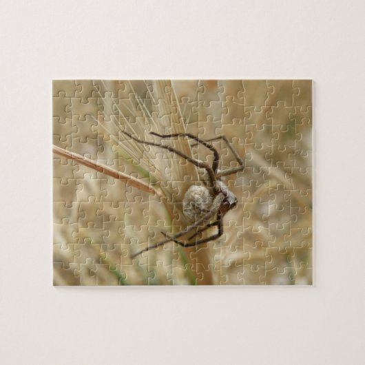 Spider en Egg Sac Puzzle Legpuzzel (Horizontaal)