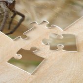 Spider en Egg Sac Puzzle Legpuzzel (Zijkant)