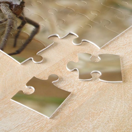 Spider en Egg Sac Puzzle Legpuzzel (Zijkant)