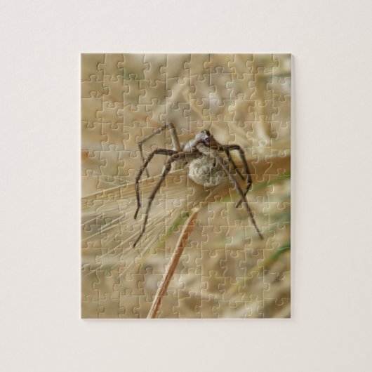 Spider en Egg Sac Puzzle Legpuzzel (Verticaal)