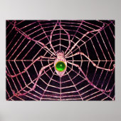 SPIDER EN WEB Green Emerald Gemstone Black Poster (Voorkant)