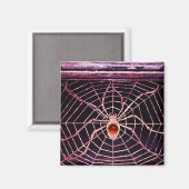 SPIDER en WEB Red Ruby Black Magneet (Voorkant / Achterkant)