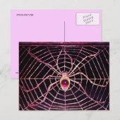 SPIDER EN WEB roze Fuchsia Amethyst Black Briefkaart (Voorkant / Achterkant)