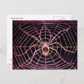SPIDER en WEB roze Paarse Amethyst zwart Briefkaart (Voorkant / Achterkant)