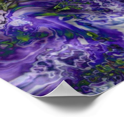 Spider Flower Poster (Hoek)