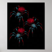 Spider Fobie Spider 3D Vrouw Vrouwen Man Kind Meis Poster (Voorkant)