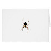 Spider-gcna (Voorkant Horizontaal)