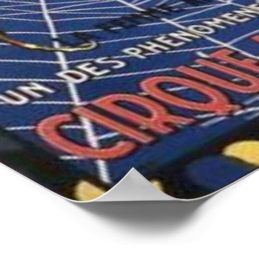 Spider Girl Poster (Hoek)